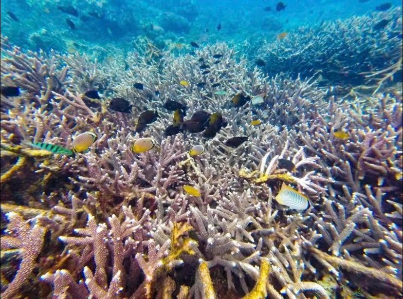 Sambu Bungalow Batununggul Bagian luar foto